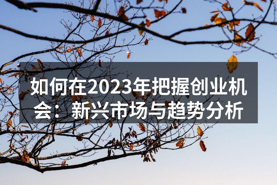 如何在2023年把握创业机会：新兴市场与趋势分析